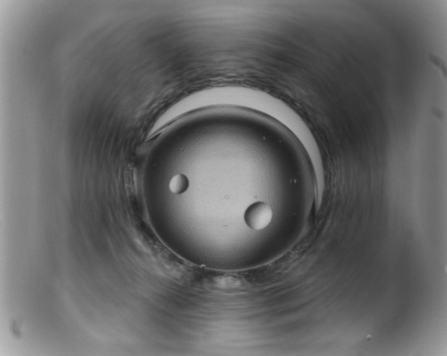 X0000099380272200805151625