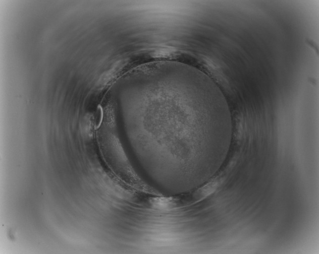 X0000099380273200805151625