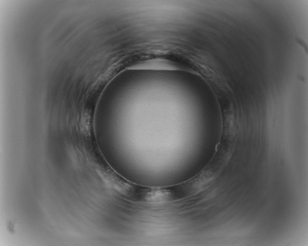 X0000099380274200805151625