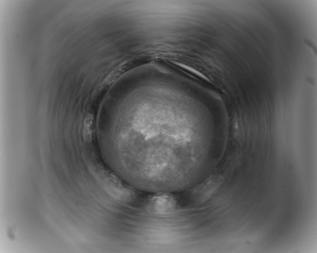 X0000099380275200805151626