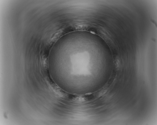 X0000099380276200805151626