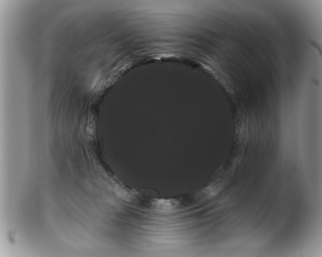 X0000099380277200805151626