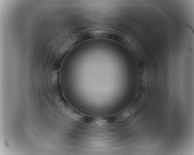 X0000099380278200805151626