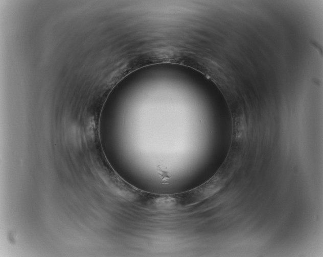 X0000099380279200805151626