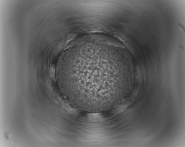 X0000099380281200805151626