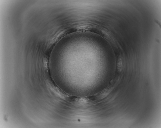 X0000099380282200805151626