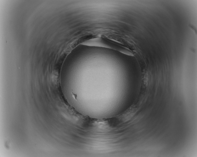 X0000099380283200805151626