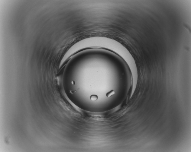 X0000099380284200805151626