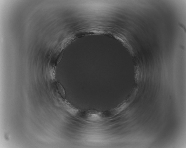 X0000099380285200805151626