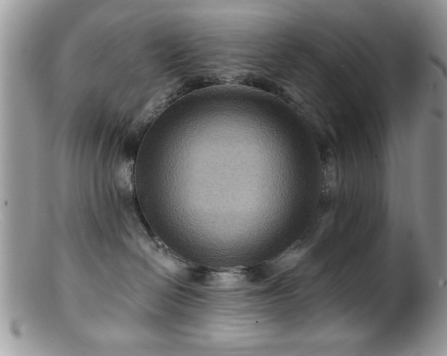 X0000099380286200805151626