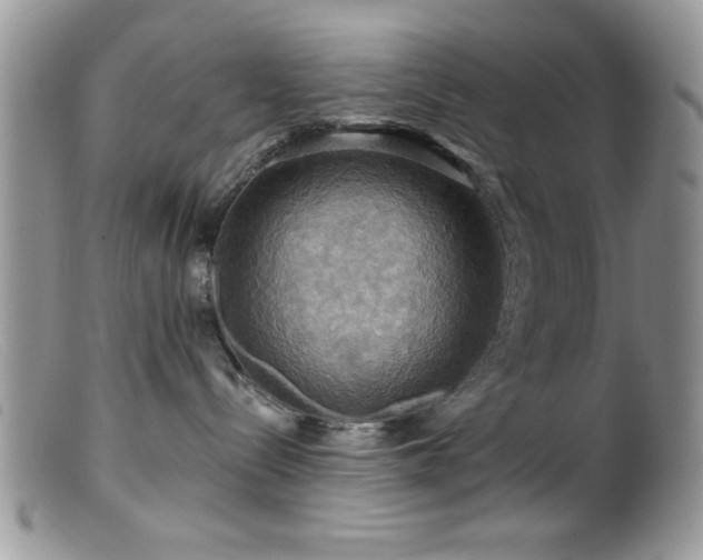 X0000099380288200805151626