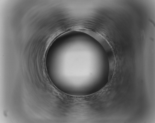 X0000099380289200805151625