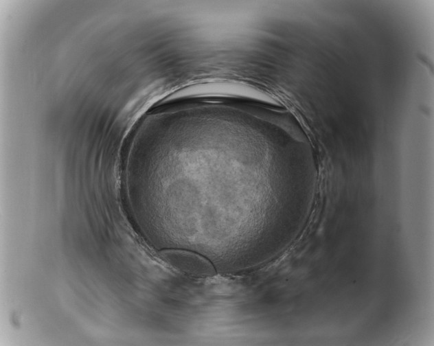 X0000099380290200805151625