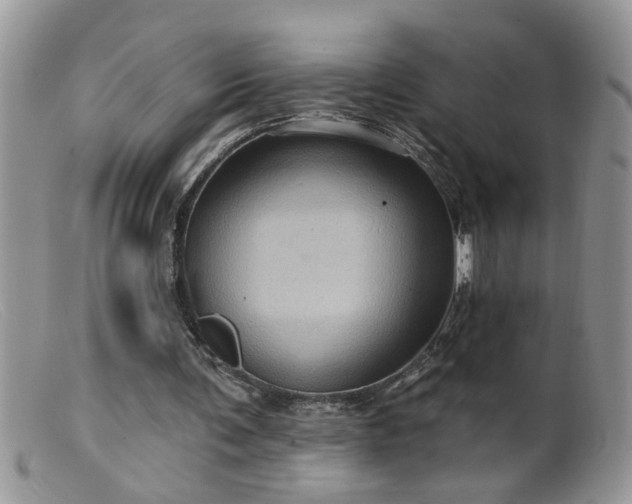 X0000099380291200805151625