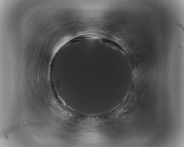 X0000099380292200805151625