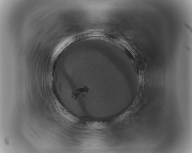 X0000099380293200805151625