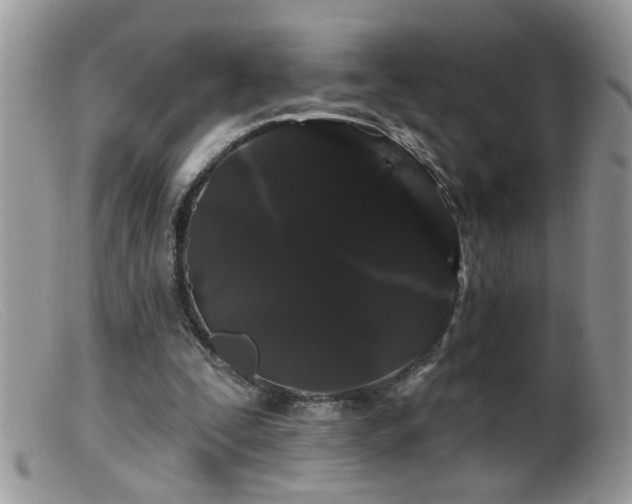 X0000099380295200805151625