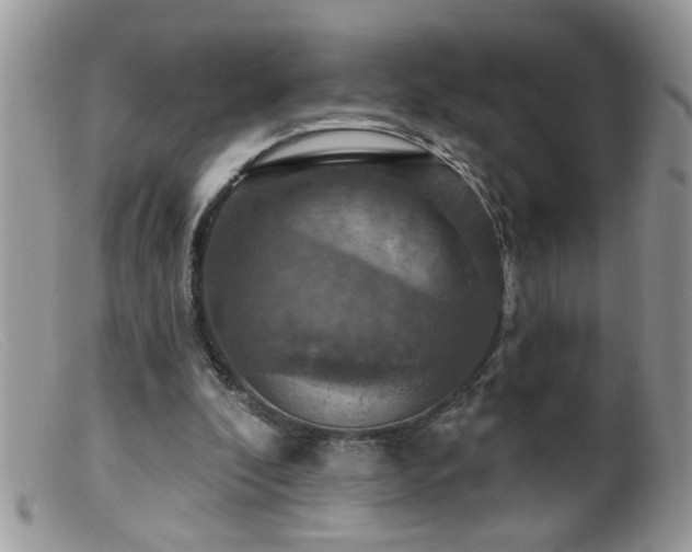 X0000099380296200805151625