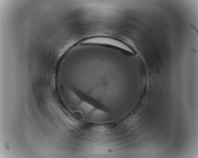 X0000099380299200805151625