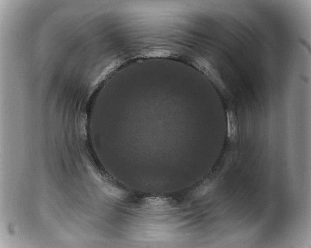 X0000099380300200805151625