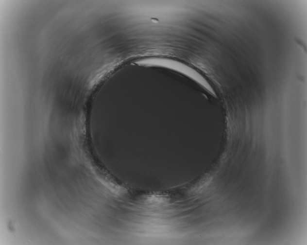 X0000099380303200805151625