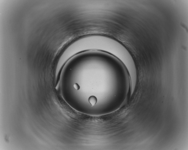 X0000099380304200805151625