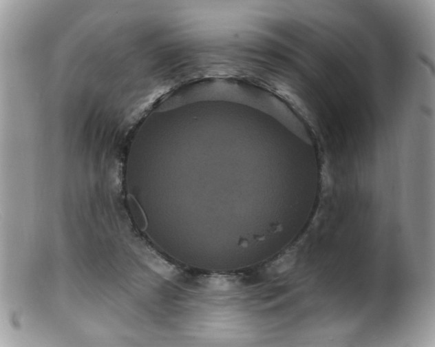 X0000099380305200805151625