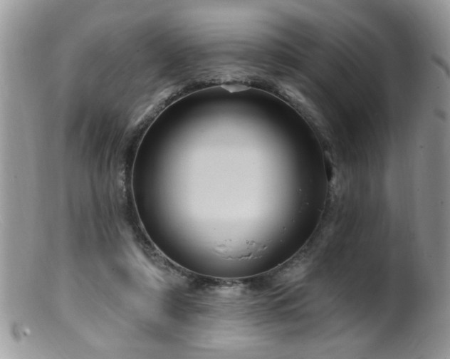 X0000099380306200805151625