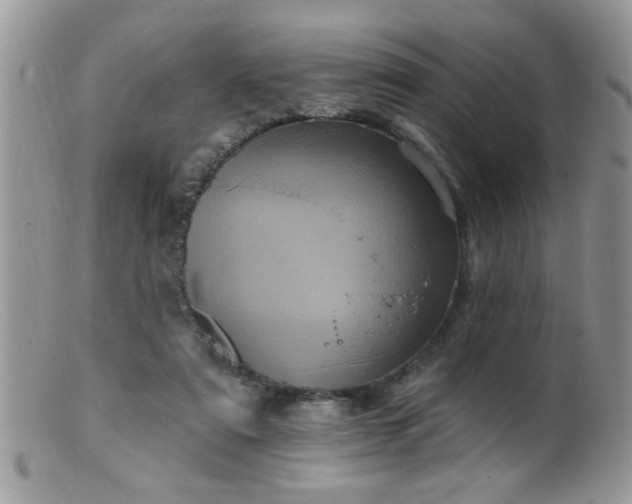 X0000099380307200805151625