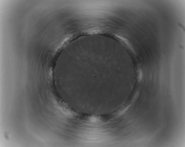 X0000099380308200805151625