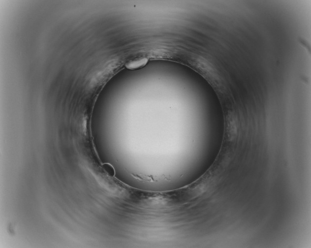 X0000099380310200805151625