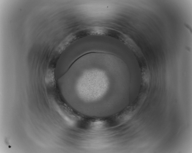 X0000099380312200805151625