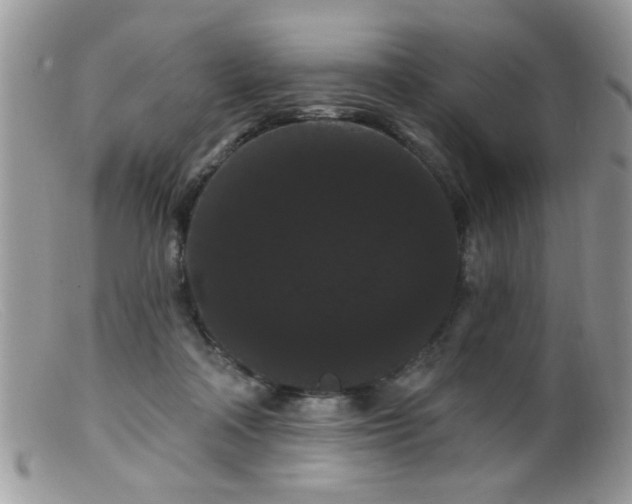 X0000099380314200805151625