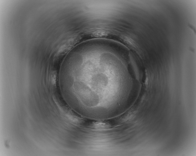 X0000099380315200805151625