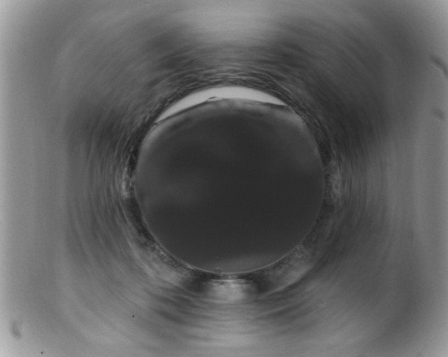 X0000099380316200805151625