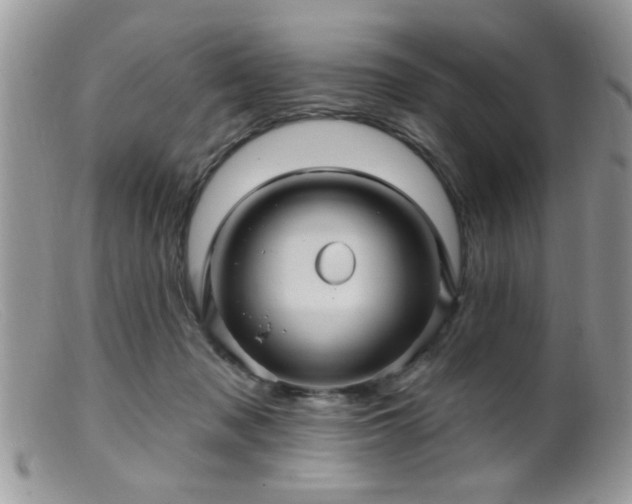 X0000099380317200805151625