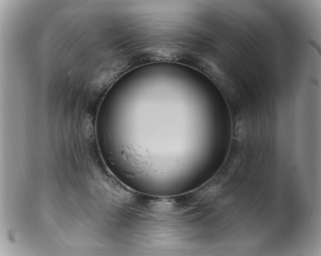 X0000099380318200805151625