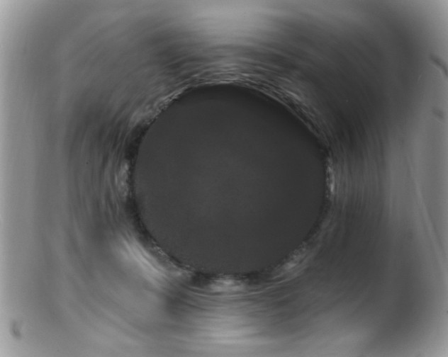 X0000099380319200805151625