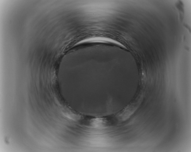 X0000099380320200805151625