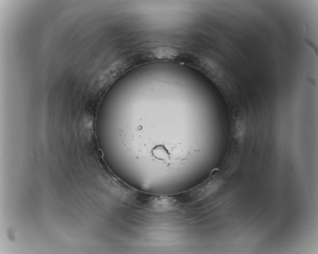 X0000099380321200805151625