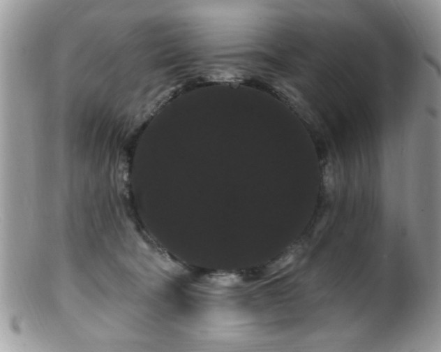 X0000099380322200805151625