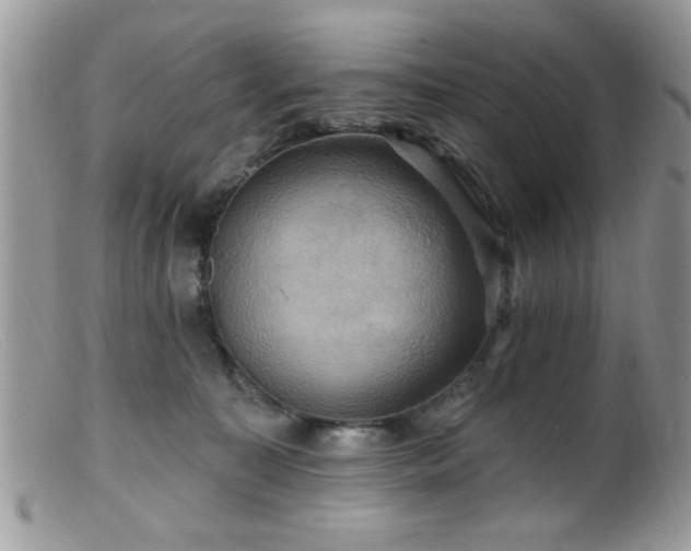 X0000099380323200805151625