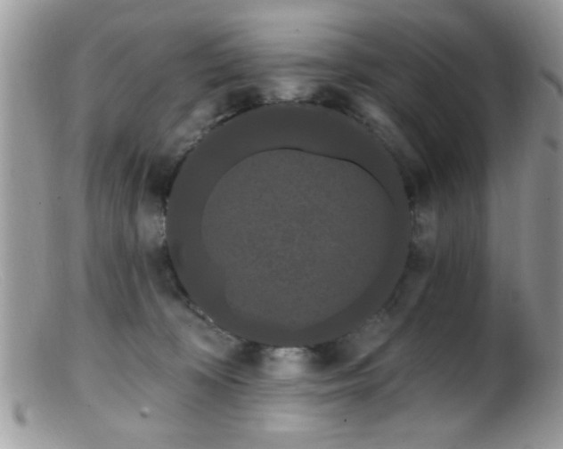 X0000099380324200805151625