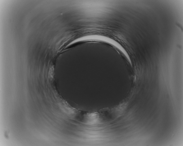 X0000099380325200805151625