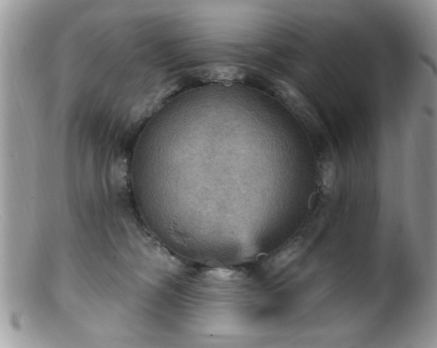 X0000099380326200805151625