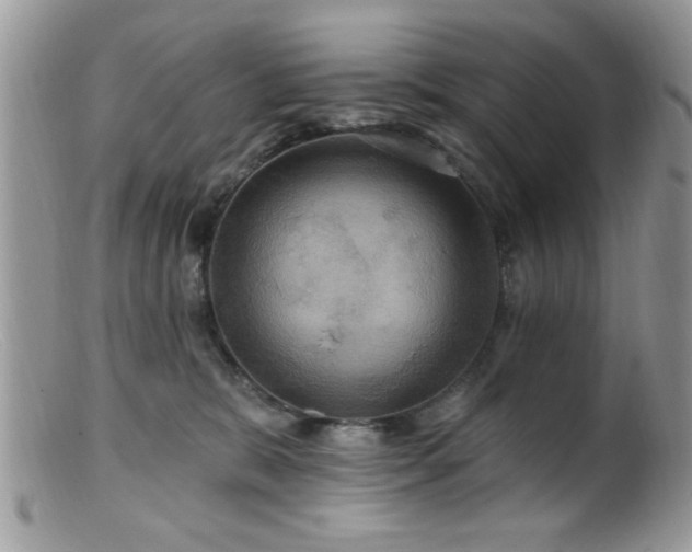 X0000099380327200805151624