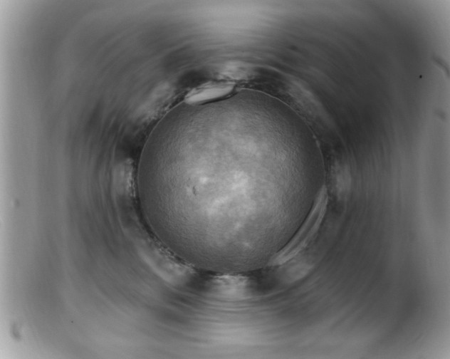 X0000099380328200805151624