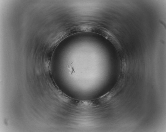 X0000099380329200805151624