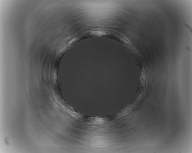 X0000099380330200805151624