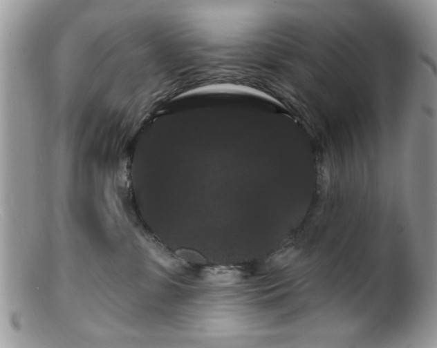 X0000099380331200805151624